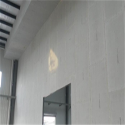 玉田宁波ALC板|EPS加气板隔墙与混凝土整浇联接的实验研讨
